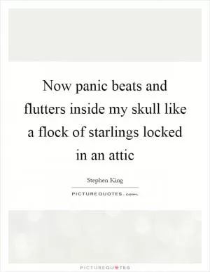 Now panic beats and flutters inside my skull like a flock of starlings locked in an attic Picture Quote #1