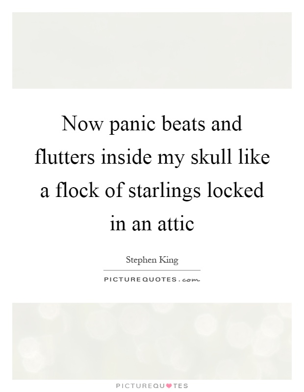 Now panic beats and flutters inside my skull like a flock of starlings locked in an attic Picture Quote #1