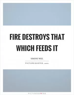 Fire destroys that which feeds it Picture Quote #1