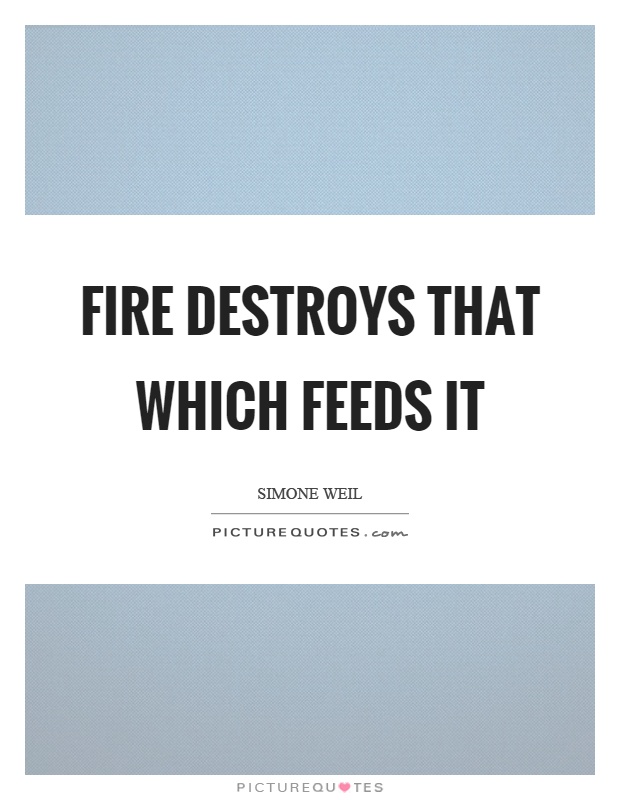 Fire destroys that which feeds it Picture Quote #1