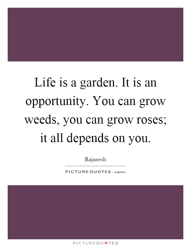 Life is a garden. It is an opportunity. You can grow weeds, you can grow roses; it all depends on you Picture Quote #1