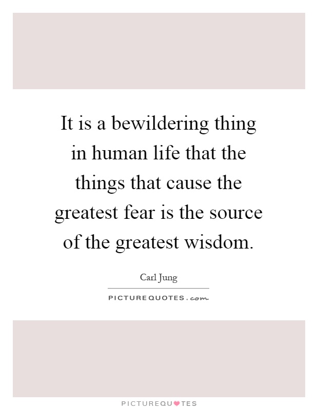 It is a bewildering thing in human life that the things that cause the greatest fear is the source of the greatest wisdom Picture Quote #1