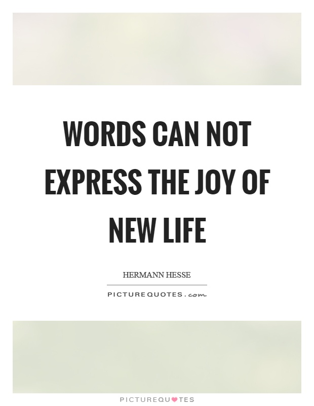 Words can not express the joy of new life Picture Quote #1