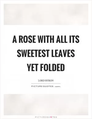 A rose with all its sweetest leaves yet folded Picture Quote #1