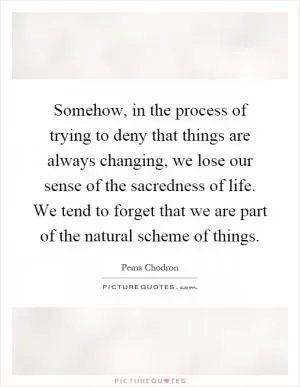 Somehow, in the process of trying to deny that things are always changing, we lose our sense of the sacredness of life. We tend to forget that we are part of the natural scheme of things Picture Quote #1