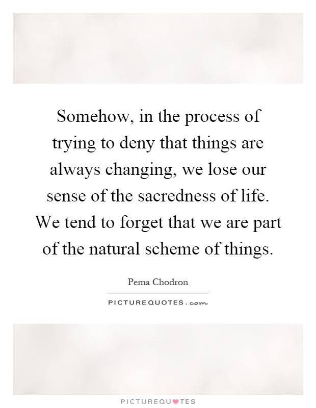 Somehow, in the process of trying to deny that things are always changing, we lose our sense of the sacredness of life. We tend to forget that we are part of the natural scheme of things Picture Quote #1