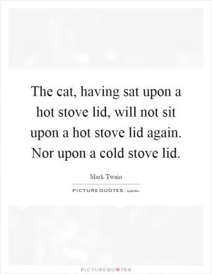 The cat, having sat upon a hot stove lid, will not sit upon a hot stove lid again. Nor upon a cold stove lid Picture Quote #1
