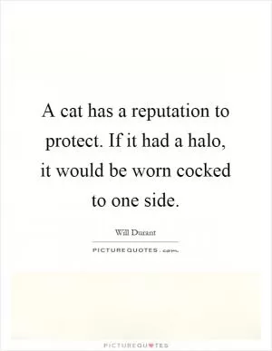 A cat has a reputation to protect. If it had a halo, it would be worn cocked to one side Picture Quote #1