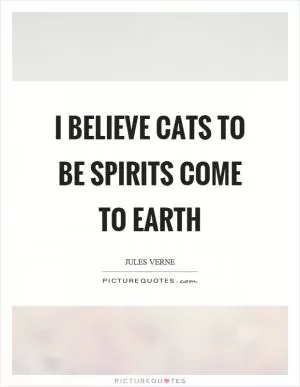 I believe cats to be spirits come to earth Picture Quote #1