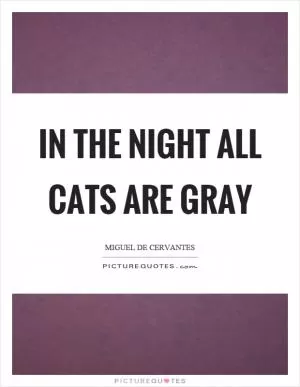 In the night all cats are gray Picture Quote #1