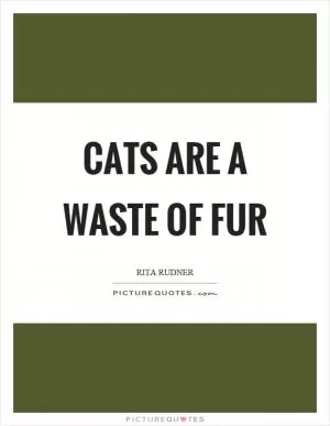 Cats are a waste of fur Picture Quote #1