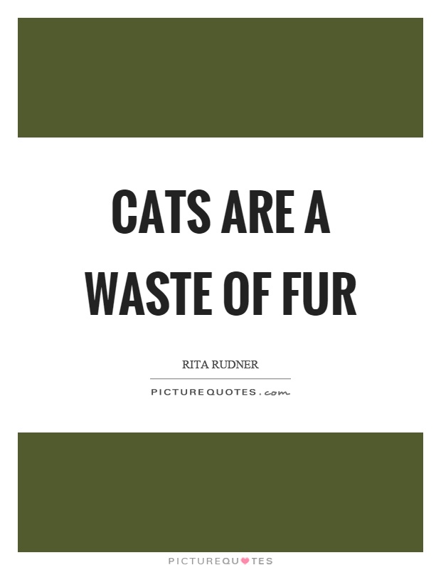Cats are a waste of fur Picture Quote #1