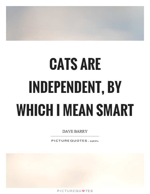 Cats are independent, by which I mean smart Picture Quote #1