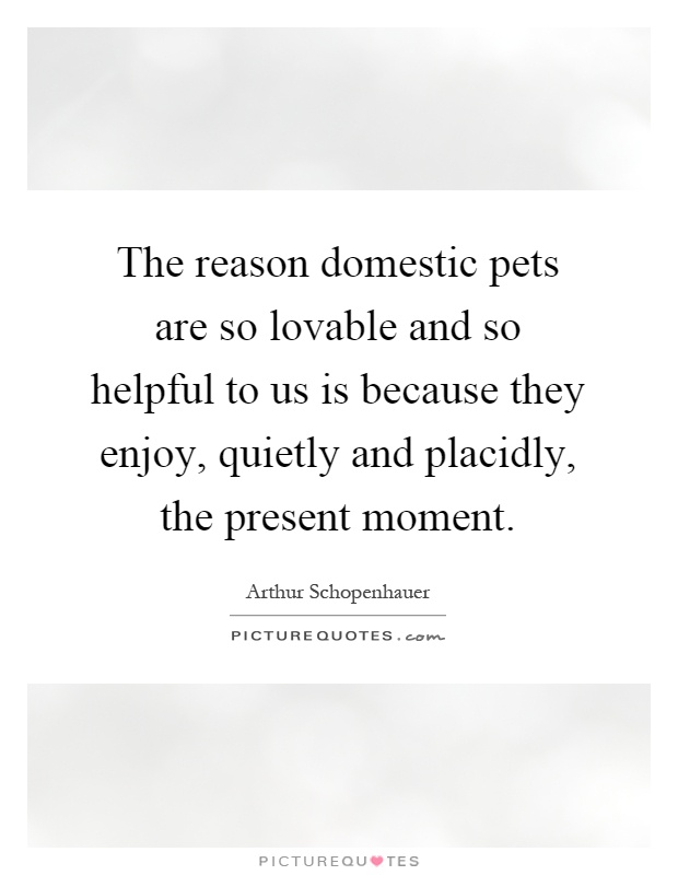 The reason domestic pets are so lovable and so helpful to us is because they enjoy, quietly and placidly, the present moment Picture Quote #1