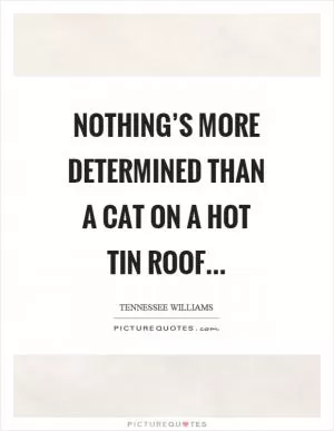 Nothing’s more determined than a cat on a hot tin roof Picture Quote #1