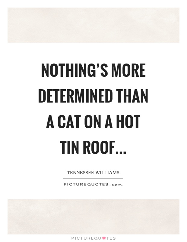 Nothing's more determined than a cat on a hot tin roof Picture Quote #1