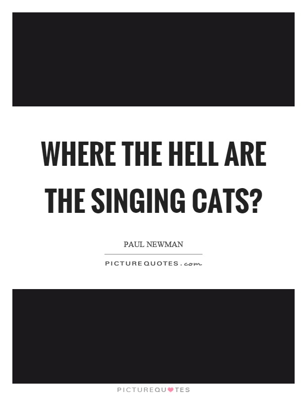 Where the hell are the singing cats? Picture Quote #1