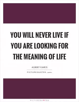You will never live if you are looking for the meaning of life Picture Quote #1