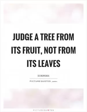 Judge a tree from its fruit, not from its leaves Picture Quote #1