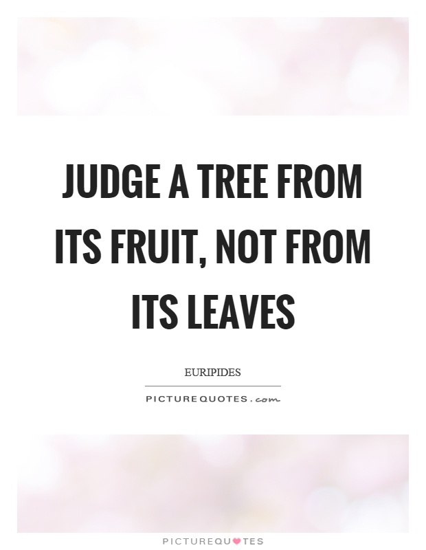 Judge a tree from its fruit, not from its leaves Picture Quote #1