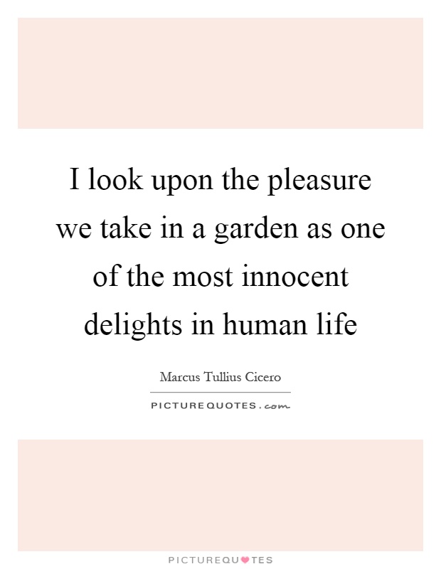 I look upon the pleasure we take in a garden as one of the most innocent delights in human life Picture Quote #1