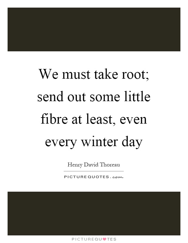 We must take root; send out some little fibre at least, even every winter day Picture Quote #1