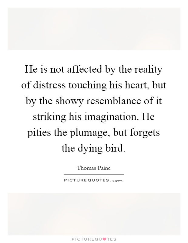 He is not affected by the reality of distress touching his heart, but by the showy resemblance of it striking his imagination. He pities the plumage, but forgets the dying bird Picture Quote #1