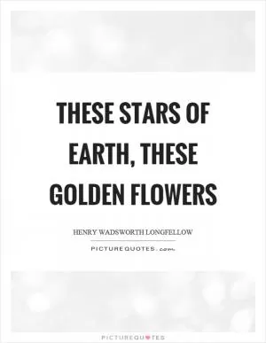 These stars of earth, these golden flowers Picture Quote #1