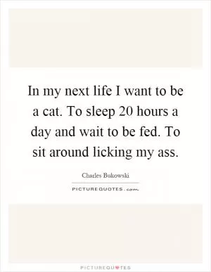 In my next life I want to be a cat. To sleep 20 hours a day and wait to be fed. To sit around licking my ass Picture Quote #1