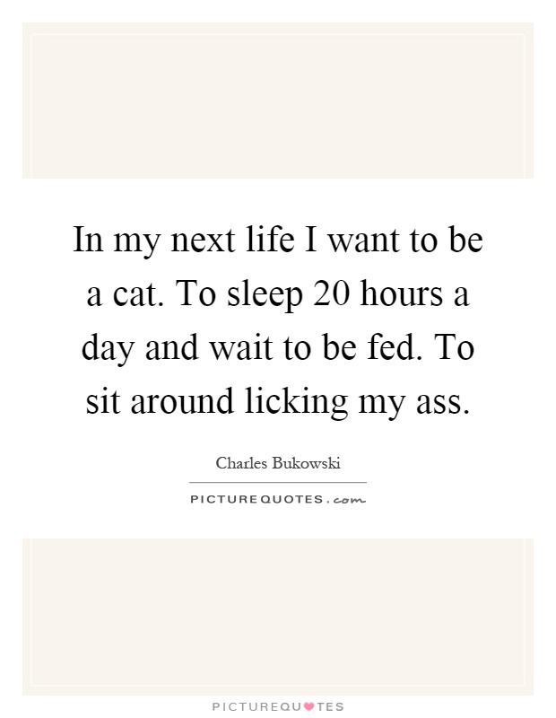 In my next life I want to be a cat. To sleep 20 hours a day and wait to be fed. To sit around licking my ass Picture Quote #1