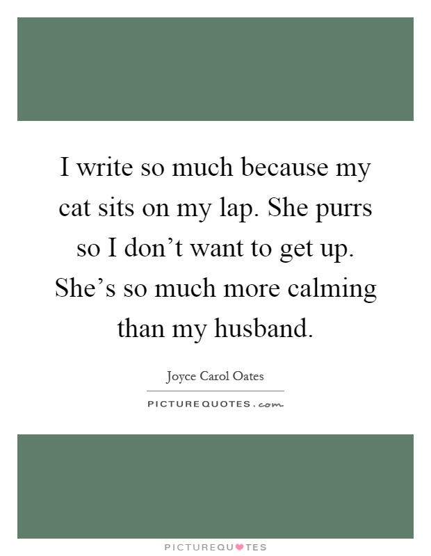 I write so much because my cat sits on my lap. She purrs so I don't want to get up. She's so much more calming than my husband Picture Quote #1