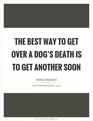 The best way to get over a dog’s death is to get another soon Picture Quote #1