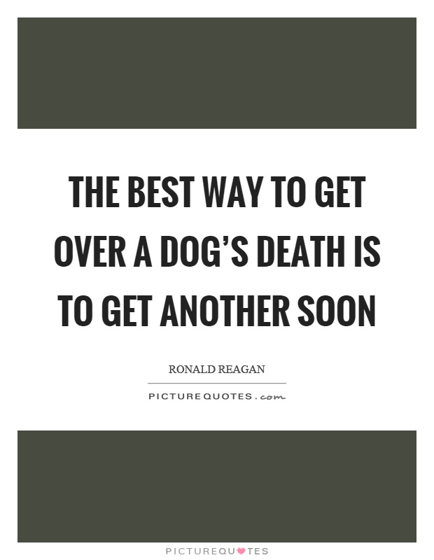 The best way to get over a dog's death is to get another soon Picture Quote #1