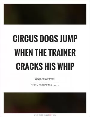 Circus dogs jump when the trainer cracks his whip Picture Quote #1