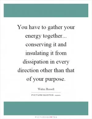 You have to gather your energy together... conserving it and insulating it from dissipation in every direction other than that of your purpose Picture Quote #1