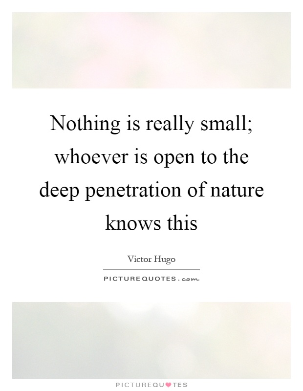 Nothing is really small; whoever is open to the deep penetration of nature knows this Picture Quote #1