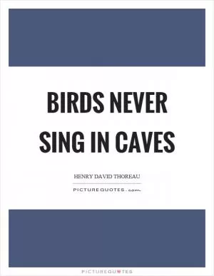 Birds never sing in caves Picture Quote #1