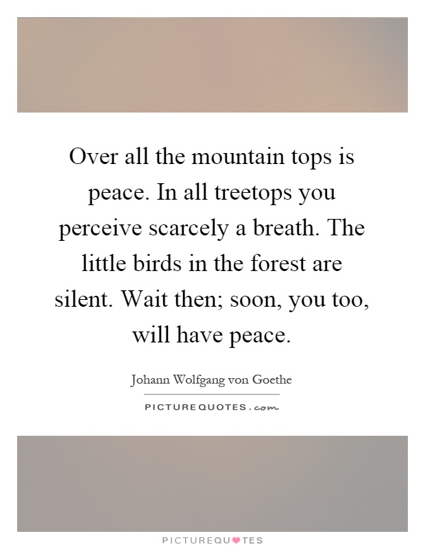 Over all the mountain tops is peace. In all treetops you perceive scarcely a breath. The little birds in the forest are silent. Wait then; soon, you too, will have peace Picture Quote #1