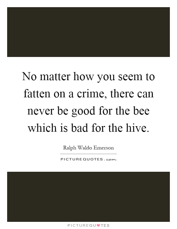 No matter how you seem to fatten on a crime, there can never be good for the bee which is bad for the hive Picture Quote #1