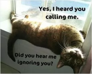 Yes, I heard you calling me. Did you hear me ignoring you? Picture Quote #1