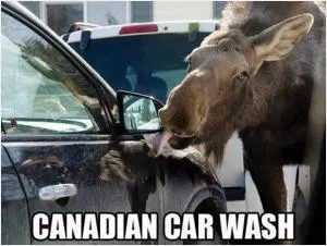 Canadian car wash Picture Quote #1