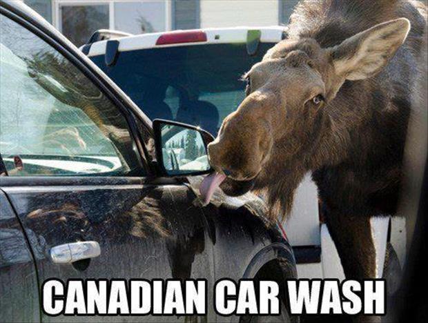 Canadian car wash Picture Quote #1