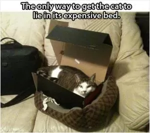 The only way to get the cat to lie in it's expensive bed Picture Quote #1