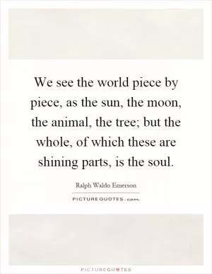 We see the world piece by piece, as the sun, the moon, the animal, the tree; but the whole, of which these are shining parts, is the soul Picture Quote #1