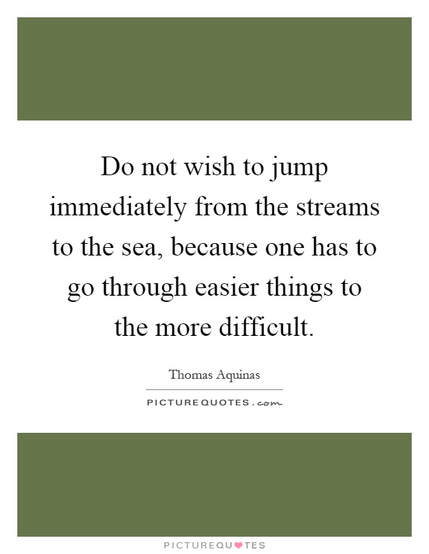 Do not wish to jump immediately from the streams to the sea, because one has to go through easier things to the more difficult Picture Quote #1