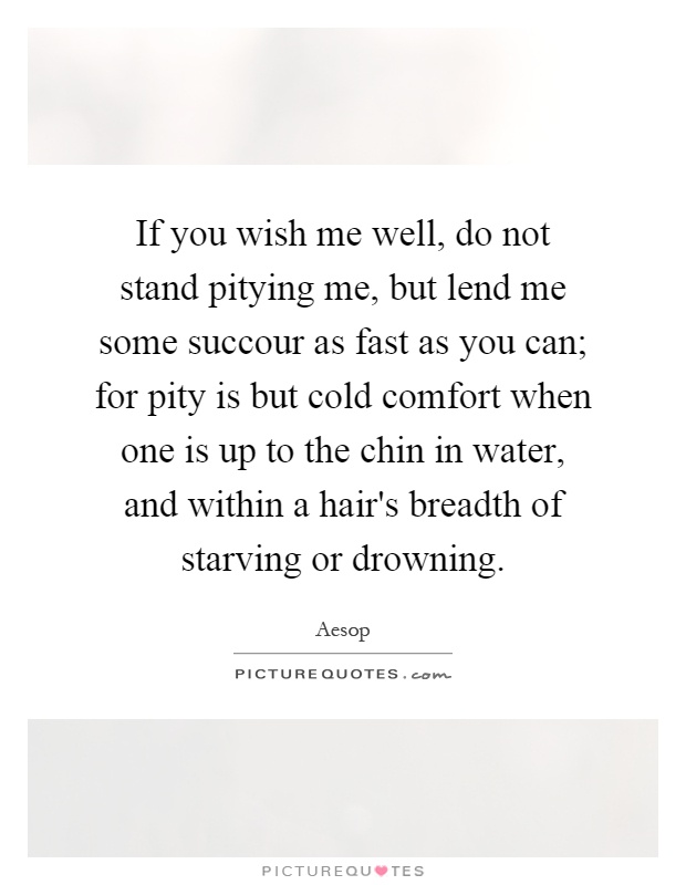 If you wish me well, do not stand pitying me, but lend me some succour as fast as you can; for pity is but cold comfort when one is up to the chin in water, and within a hair's breadth of starving or drowning Picture Quote #1