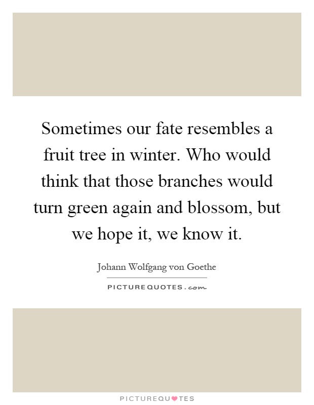 Sometimes our fate resembles a fruit tree in winter. Who would think that those branches would turn green again and blossom, but we hope it, we know it Picture Quote #1