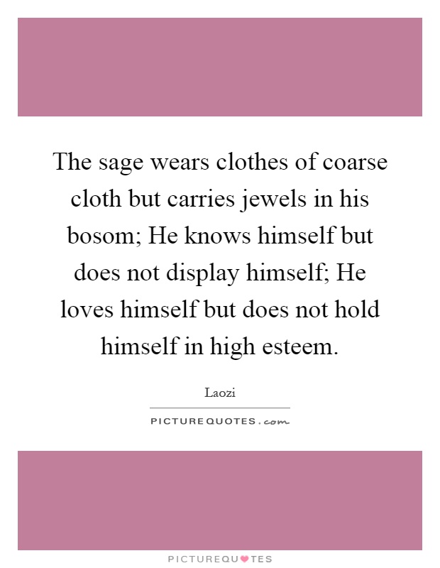 The sage wears clothes of coarse cloth but carries jewels in his bosom; He knows himself but does not display himself; He loves himself but does not hold himself in high esteem Picture Quote #1