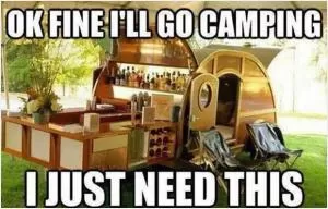 Ok fine I'll go camping. I just need this Picture Quote #1