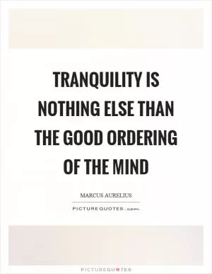 Tranquility is nothing else than the good ordering of the mind Picture Quote #1